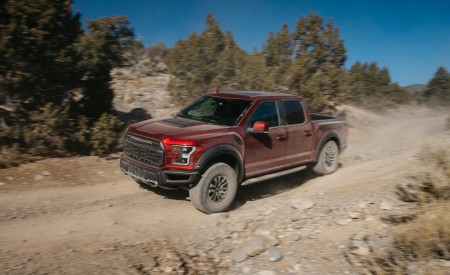 2019 Ford F-150 Raptor Front Three-Quarter Wallpapers 450x275 (35)