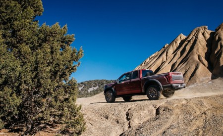 2019 Ford F-150 Raptor Rear Three-Quarter Wallpapers 450x275 (31)