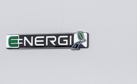 2019 Ford Fusion Badge Wallpapers 450x275 (31)