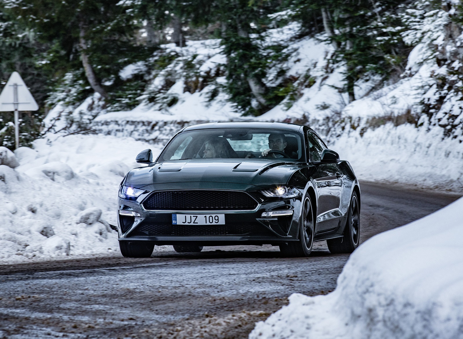 2019 Ford Mustang Bullitt (Euro-Version) Front Wallpapers (5)