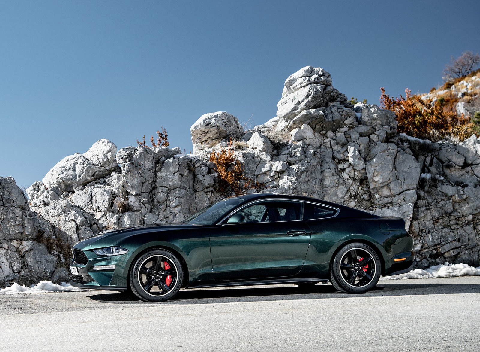 2019 Ford Mustang Bullitt (Euro-Version) Side Wallpapers (6)