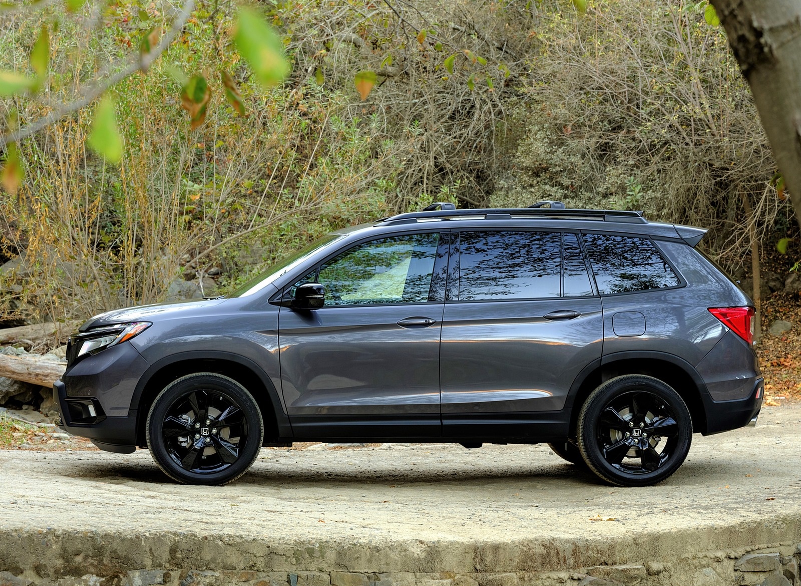 2019 Honda Passport Side Wallpapers (10)