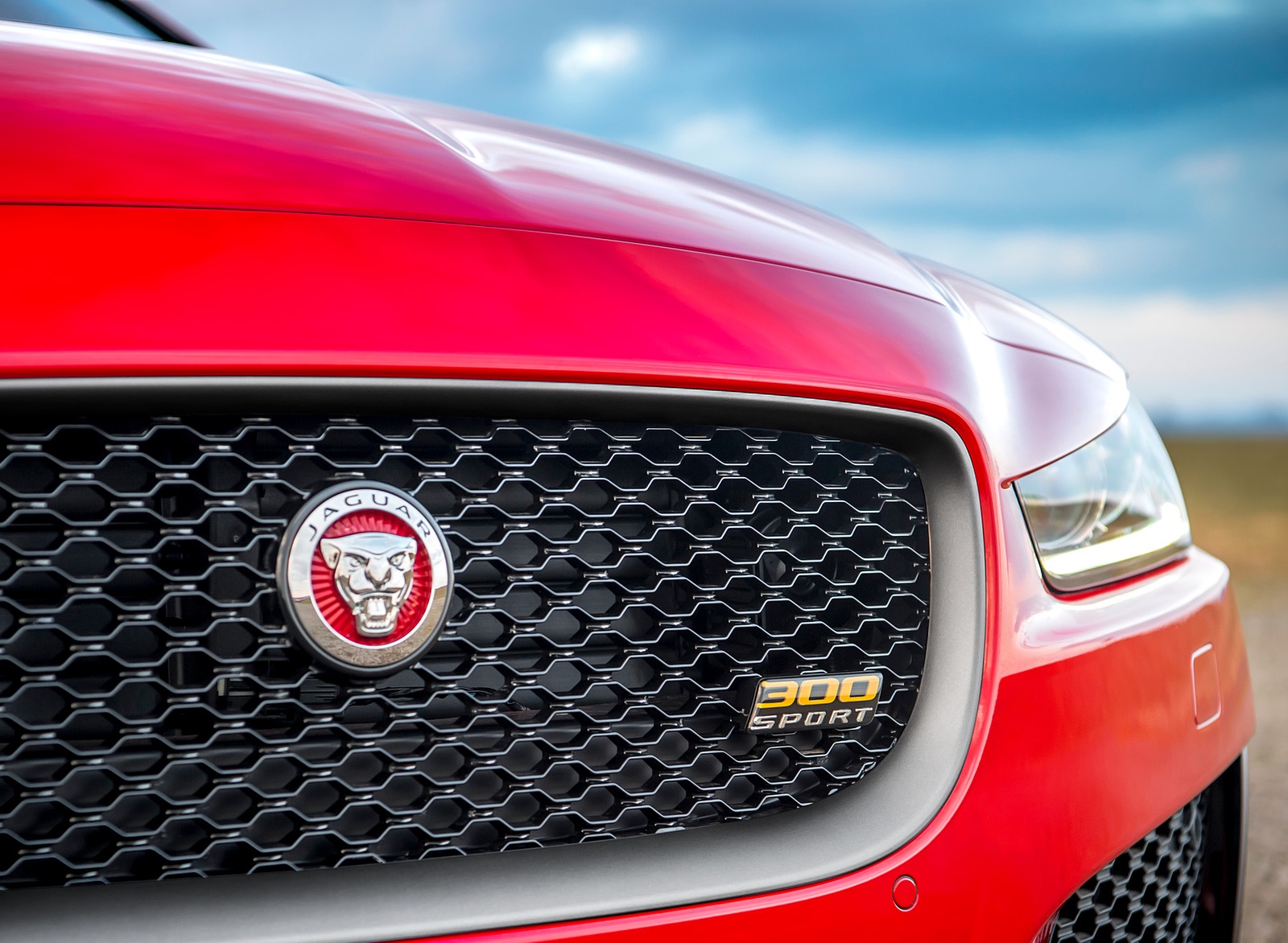 2019 Jaguar XE 300 SPORT Grill Wallpapers (10)