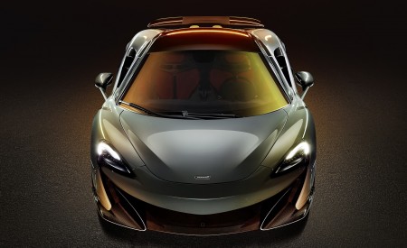 2019 McLaren 600LT Coupé (Color: Chicane Grey) Front Wallpapers 450x275 (85)