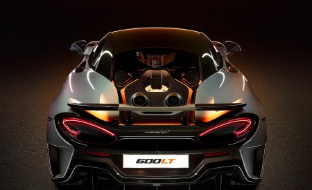 2019 McLaren 600LT Coupé (Color: Chicane Grey) Rear Wallpapers 450x275 (88)