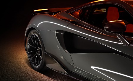 2019 McLaren 600LT Coupé Detail Wallpapers 450x275 (92)