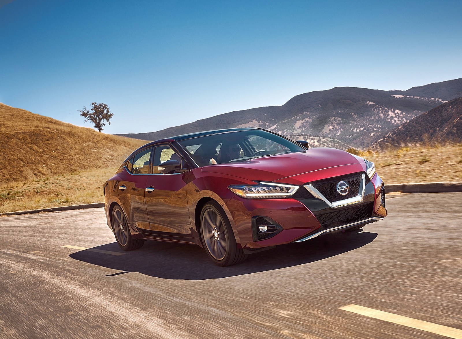 2019 Nissan Maxima Front Three-Quarter Wallpapers (4)