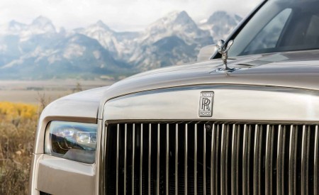 2019 Rolls-Royce Cullinan (Color: White Sands) Grill Wallpapers 450x275 (75)