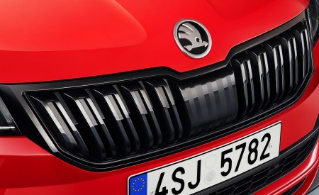 2019 Skoda Karoq Sportline Grill Wallpapers 450x275 (23)