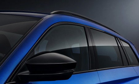 2019 Skoda Kodiaq RS Detail Wallpapers 450x275 (13)