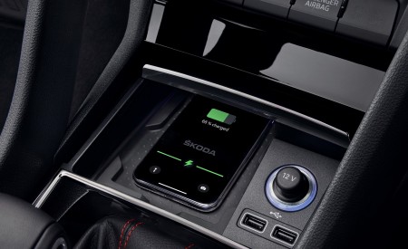 2019 Skoda Kodiaq RS Interior Detail Wallpapers 450x275 (33)