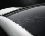 2019 Subaru WRX STI S209 Roof Wallpapers 150x120 (34)