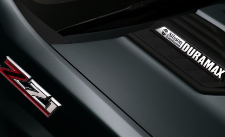 2020 Chevrolet Silverado HD Z71 Detail Wallpapers 450x275 (33)