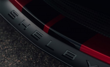 2020 Ford Mustang Shelby GT500 Detail Wallpapers 450x275 (52)