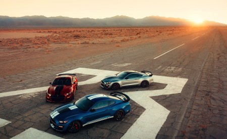 2020 Ford Mustang Shelby GT500 Front Three-Quarter Wallpapers 450x275 (5)