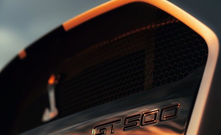 2020 Ford Mustang Shelby GT500 Grill Wallpapers 450x275 (62)