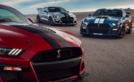 2020 Ford Mustang Shelby GT500 Grill Wallpapers 450x275 (15)
