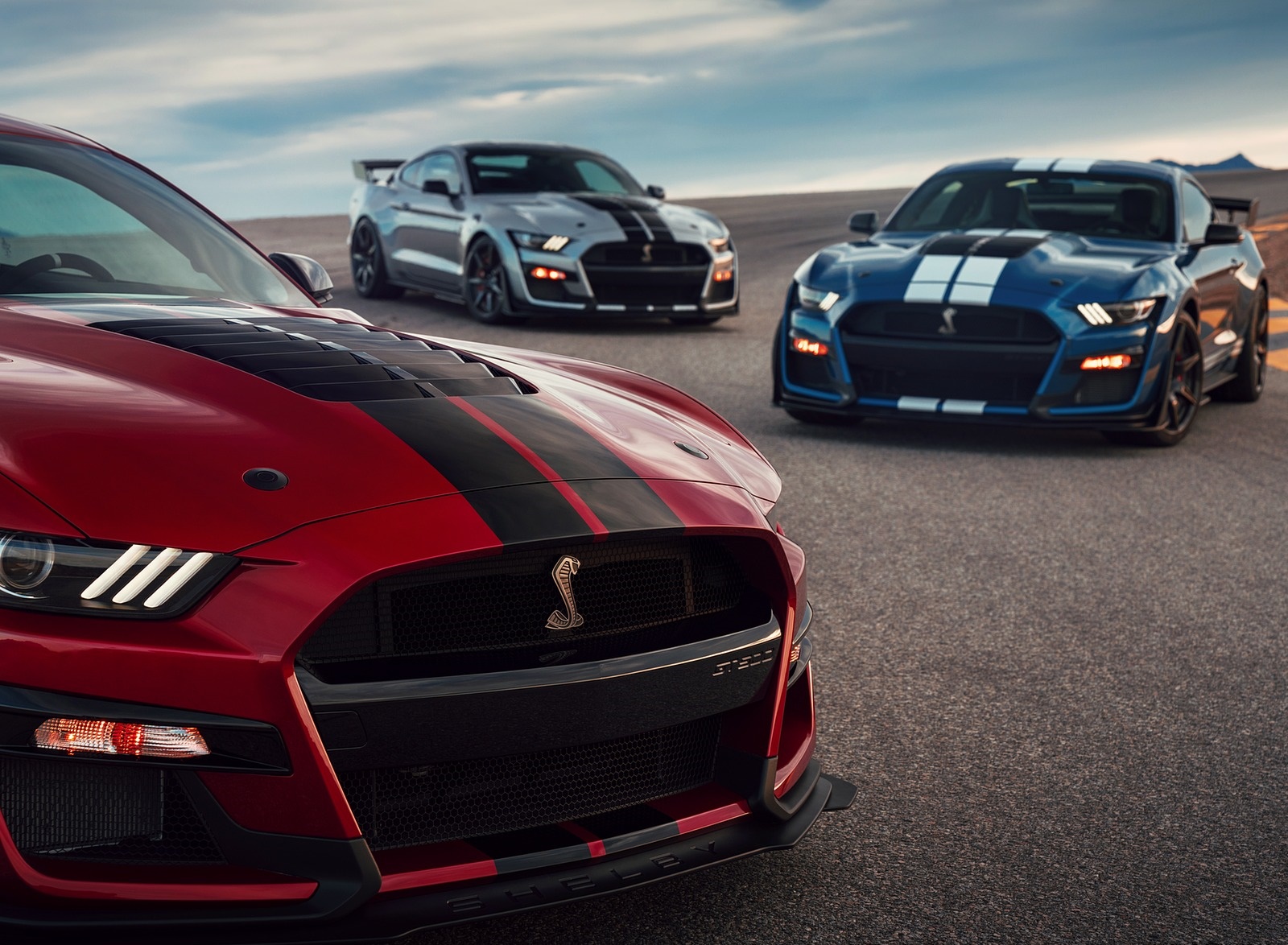 2020 Ford Mustang Shelby GT500 Grill Wallpapers (15)