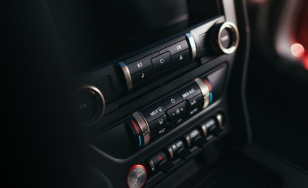 2020 Ford Mustang Shelby GT500 Interior Detail Wallpapers 450x275 (109)