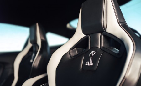 2020 Ford Mustang Shelby GT500 Interior Seats Wallpapers 450x275 (108)