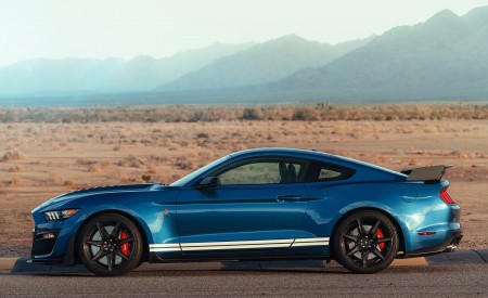 2020 Ford Mustang Shelby GT500 Side Wallpapers 450x275 (86)