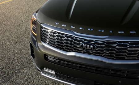 2020 Kia Telluride Grill Wallpapers 450x275 (16)