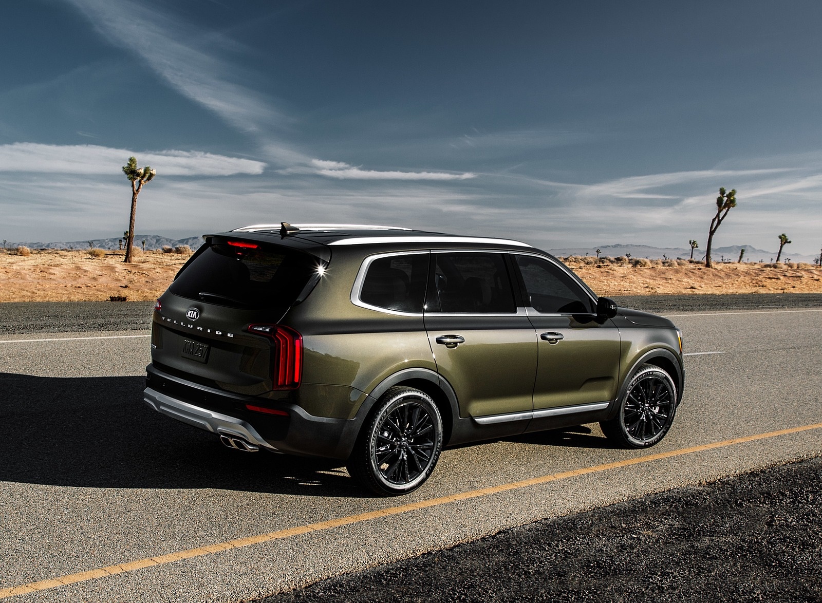 2020 Kia Telluride Rear Three-Quarter Wallpapers (15)