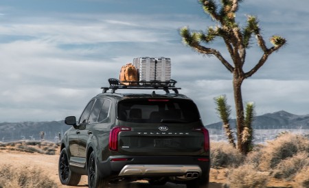 2020 Kia Telluride Rear Wallpapers 450x275 (14)
