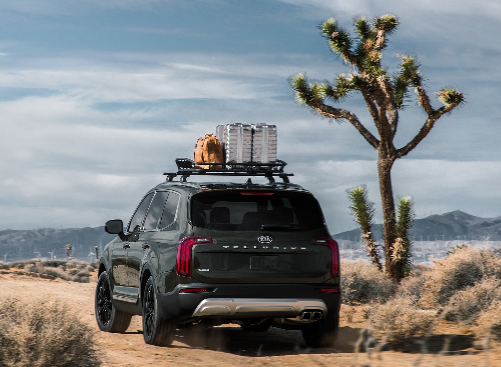 2020 Kia Telluride Rear Wallpapers (14)