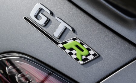 2020 Mercedes-AMG GT R Pro (Color: Selenite Grey Magno) Badge Wallpapers 450x275 (44)
