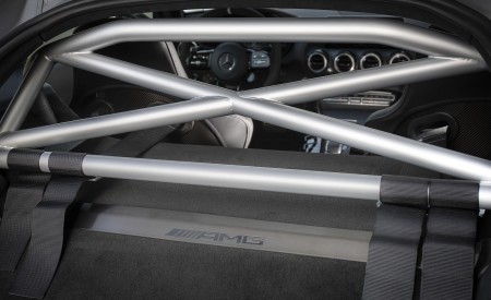 2020 Mercedes-AMG GT R Pro Roll Cage Wallpapers 450x275 (11)