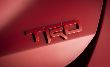 2020 Toyota Avalon TRD Badge Wallpapers 450x275 (21)
