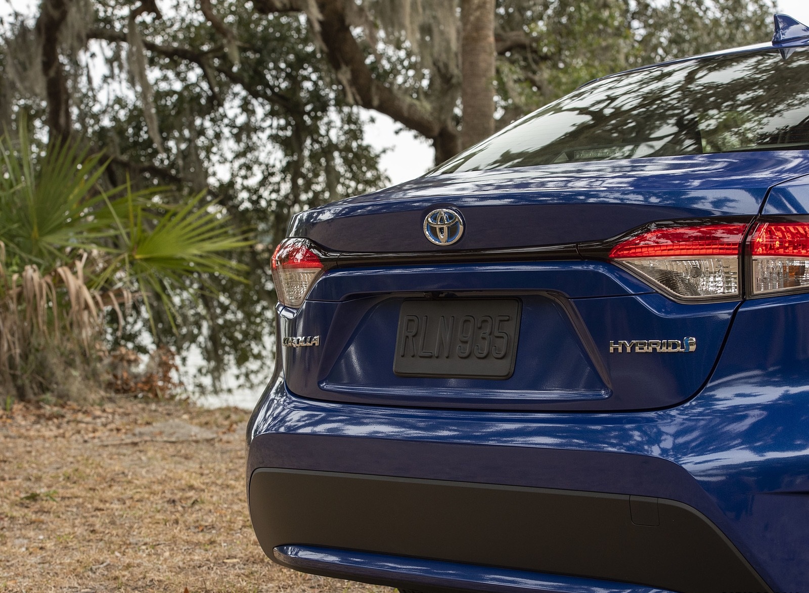 2020 Toyota Corolla Hybrid LE (Color: Blue Crush Metallic) Detail Wallpapers (10)