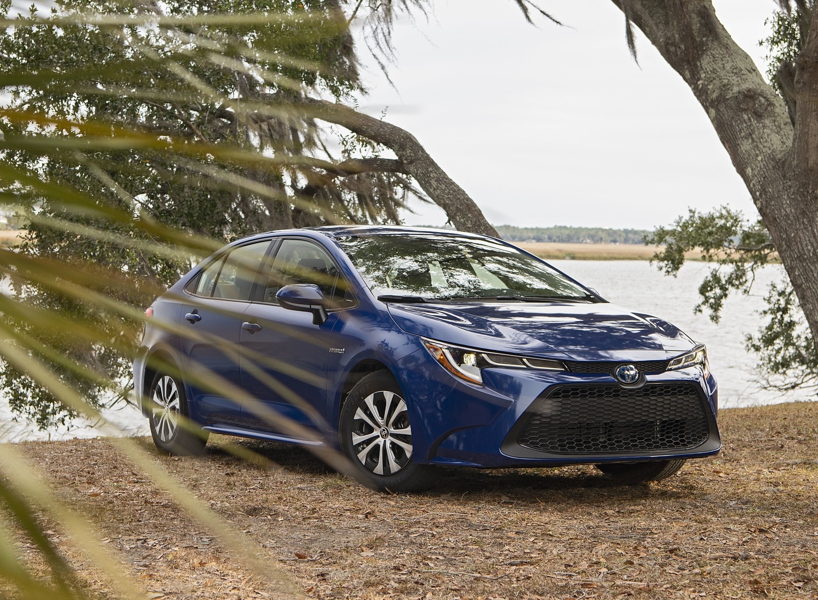 2020 Toyota Corolla Hybrid LE (Color: Blue Crush Metallic) Front Three-Quarter Wallpapers (4)