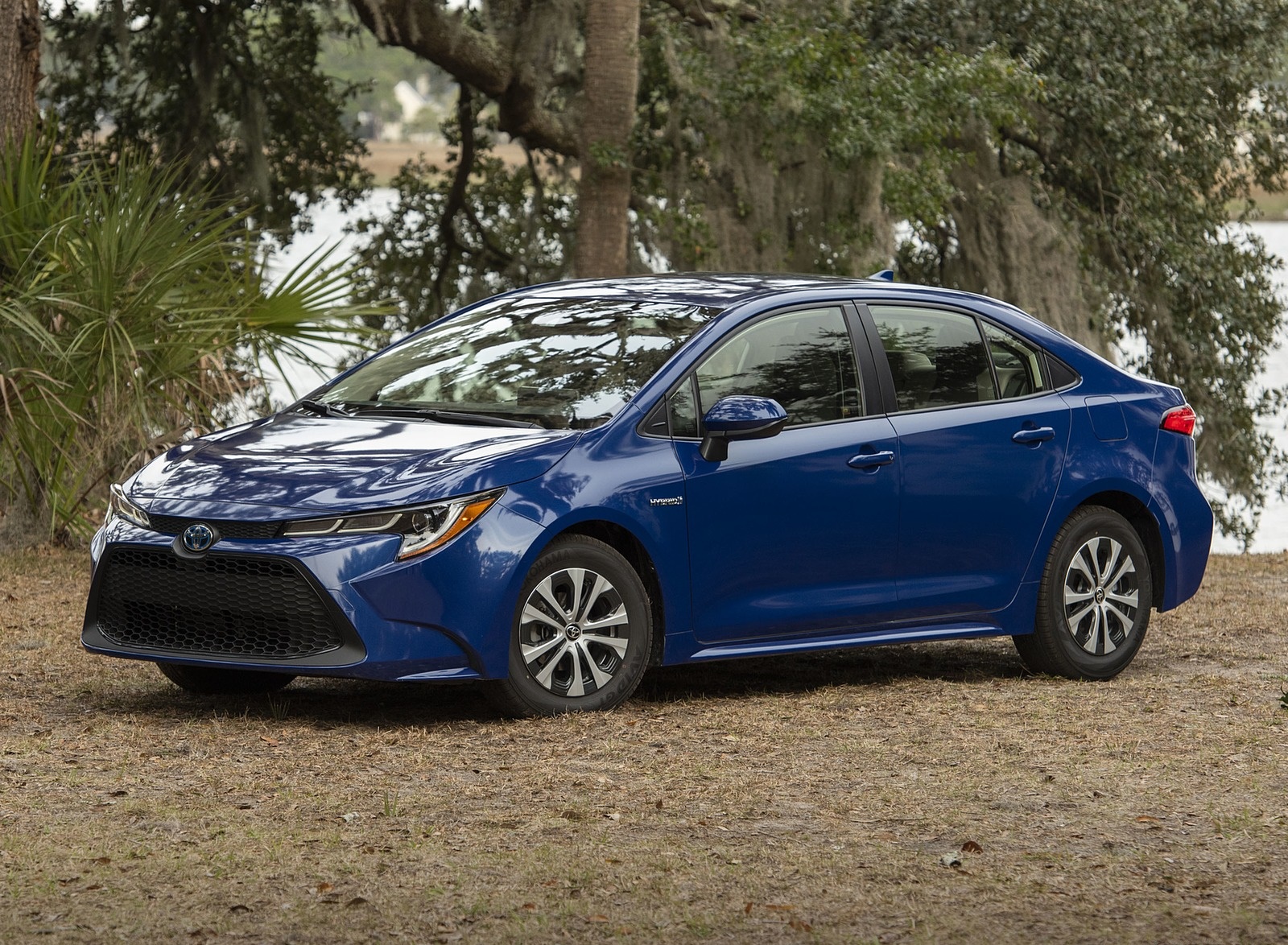 2020 Toyota Corolla Hybrid LE (Color: Blue Crush Metallic) Front Three-Quarter Wallpapers (5)