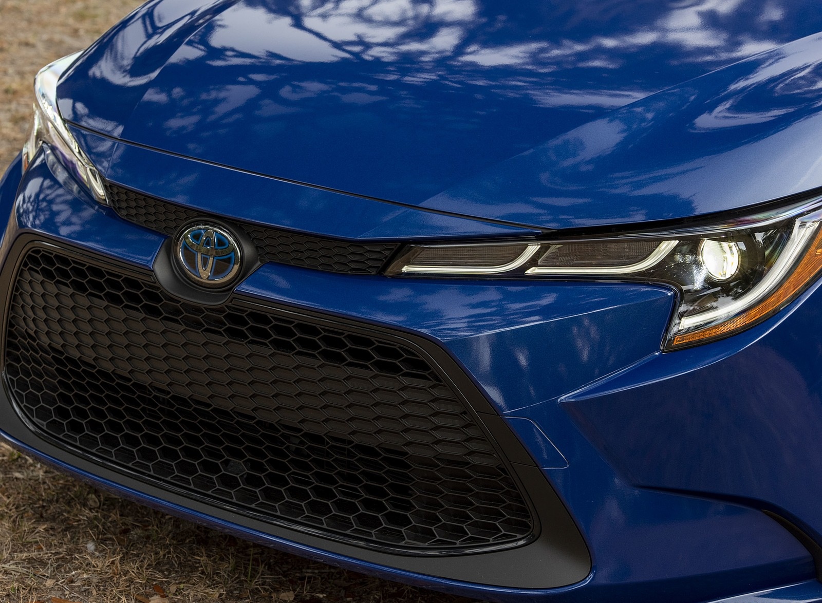 2020 Toyota Corolla Hybrid LE (Color: Blue Crush Metallic) Grill Wallpapers (9)
