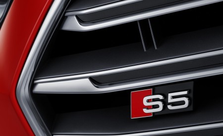 2018 Audi S5 Cabriolet Grill Wallpapers 450x275 (32)