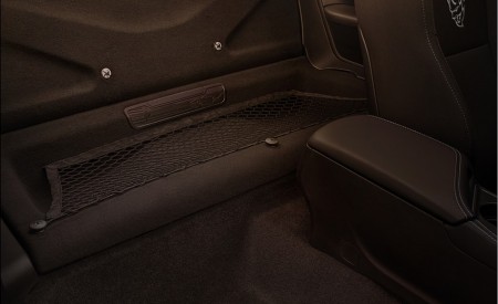 2018 Dodge Challenger SRT Demon Interior Detail Wallpapers 450x275 (87)