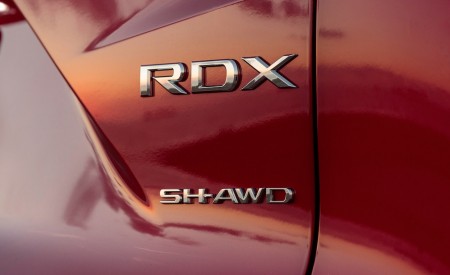 2019 Acura RDX A-Spec Badge Wallpapers 450x275 (38)