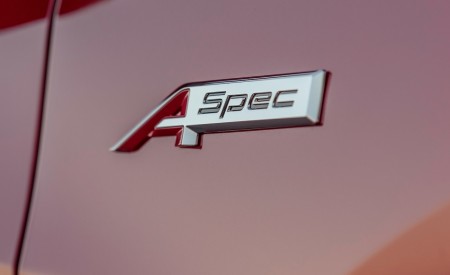 2019 Acura RDX A-Spec Badge Wallpapers 450x275 (37)