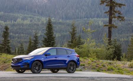 2019 Acura RDX A-Spec Front Three-Quarter Wallpapers 450x275 (49)