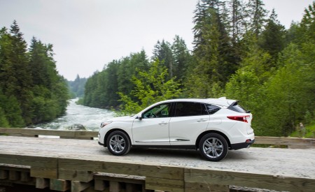 2019 Acura RDX Rear Three-Quarter Wallpapers 450x275 (131)