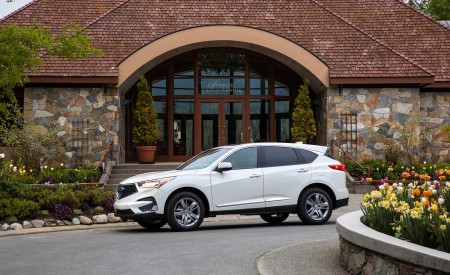 2019 Acura RDX Side Wallpapers 450x275 (158)