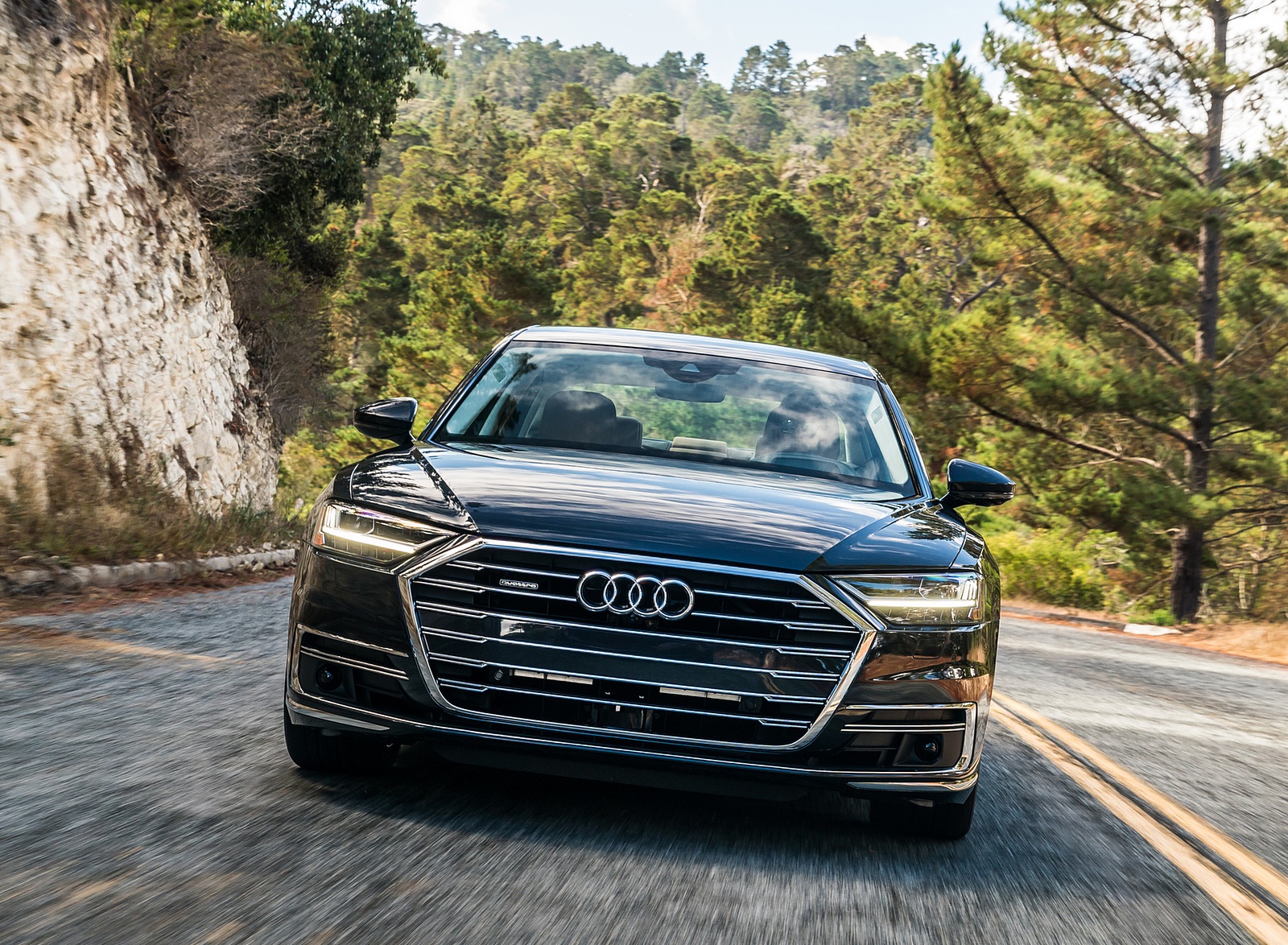 2019 Audi A8 (US-Spec) Front Wallpapers (5)