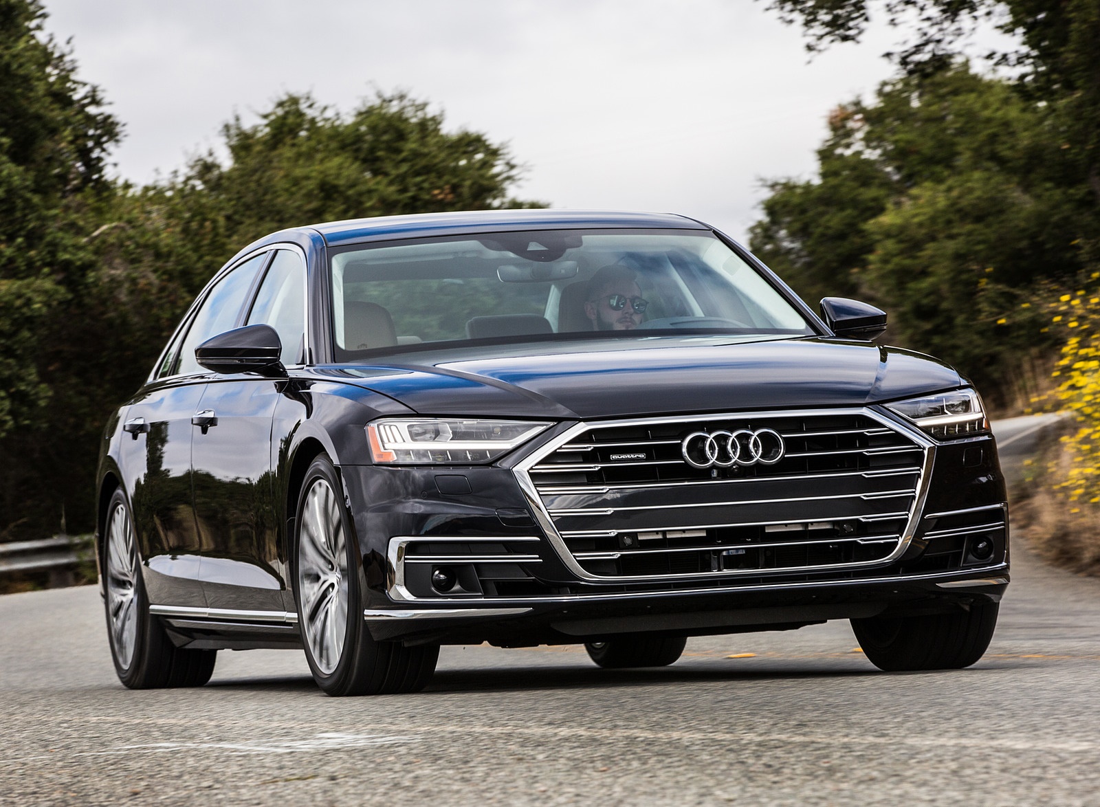 2019 Audi A8 (US-Spec) Front Wallpapers (9)
