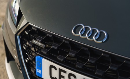 2019 Audi TT Roadster (UK-Spec) Grill Wallpapers 450x275 (99)