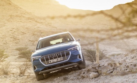 2019 Audi e-tron (Color: Antigua Blue) Front Wallpapers 450x275 (81)