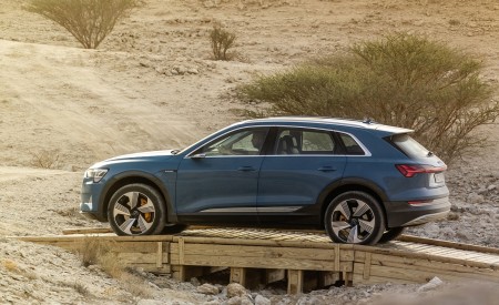 2019 Audi e-tron (Color: Antigua Blue) Side Wallpapers 450x275 (86)