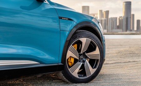 2019 Audi e-tron (Color: Antigua Blue) Wheel Wallpapers 450x275 (118)