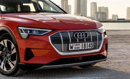 2019 Audi e-tron (Color: Catalunya Red) Grill Wallpapers 450x275 (48)